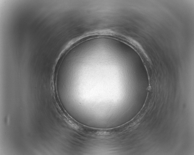 X0000074961176200609152049