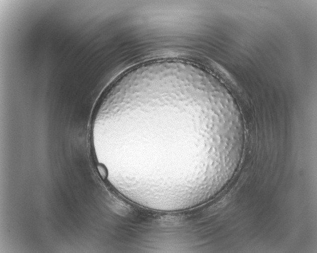 X0000074961178200609152049