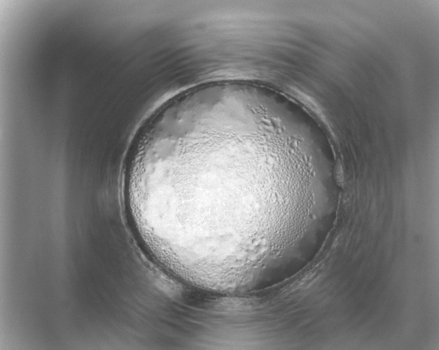 X0000074961179200609152049