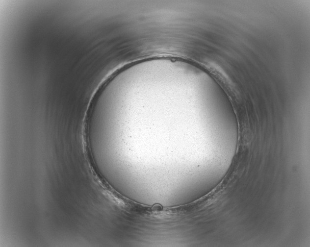 X0000074961182200609152049