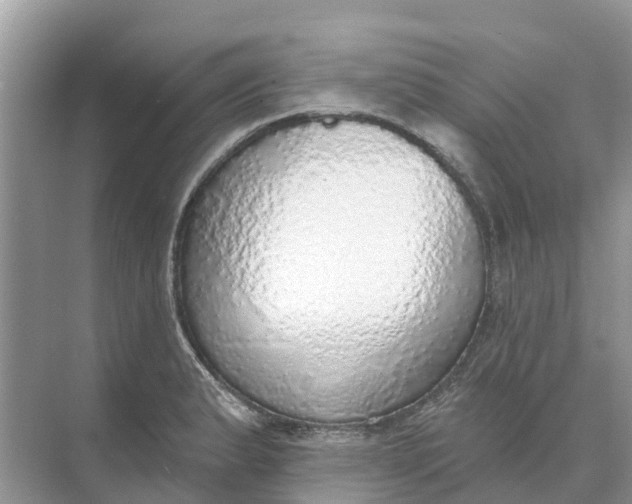 X0000074961183200609152049