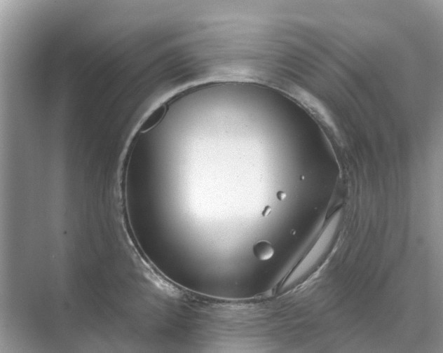 X0000074961192200609152048