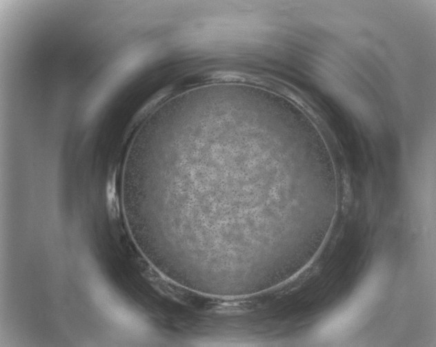 X0000074961198200609152048