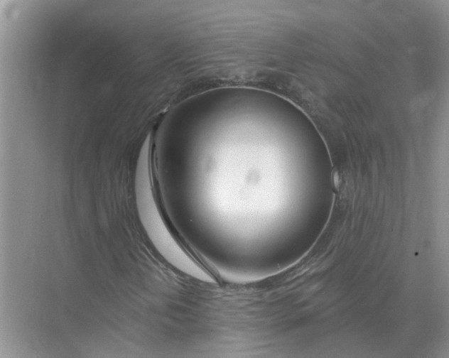 X0000074961202200609152047