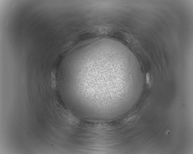 X0000074961203200609152047