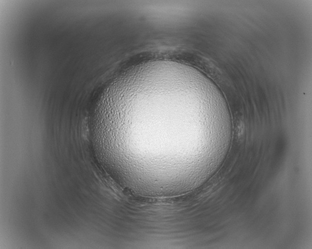 X0000074961204200609152047