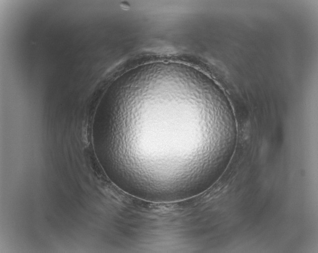 X0000074961205200609152048