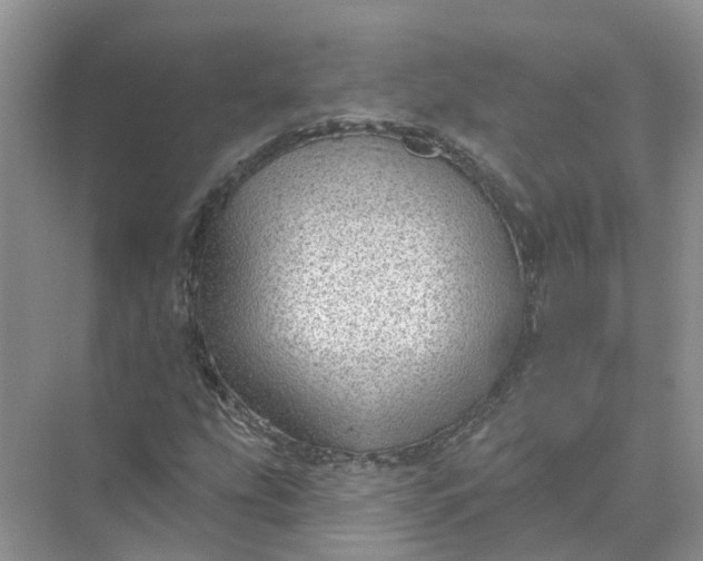 X0000074961207200609152048