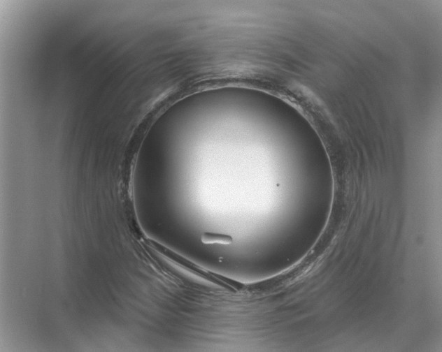 X0000074961210200609152048