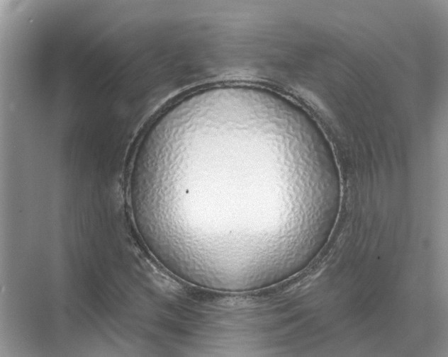 X0000074961212200609152048