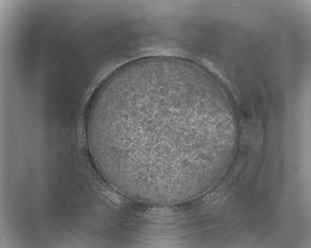 X0000074961215200609152048