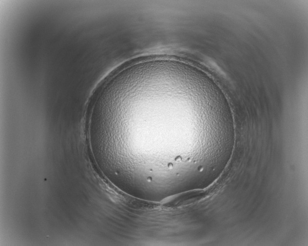 X0000074961216200609152048