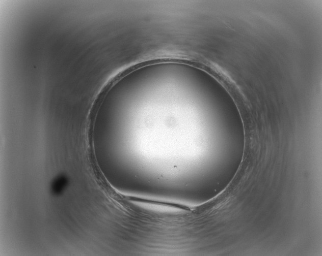 X0000074961222200609152048