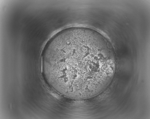 X0000074961223200609152048