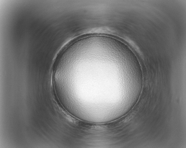 X0000074961224200609152048