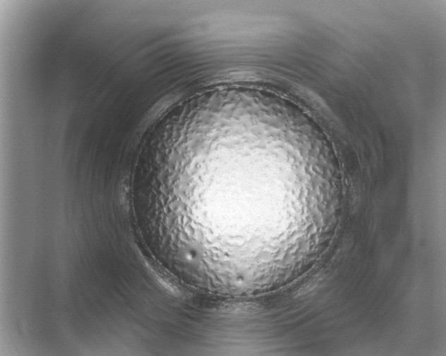 X0000074961225200609152048