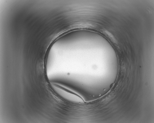 X0000074961226200609152048