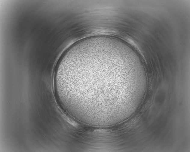 X0000074961227200609152048