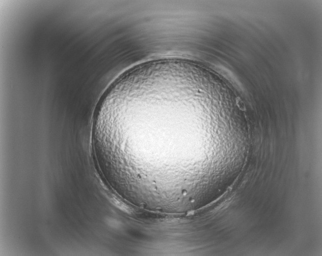 X0000074961228200609152048