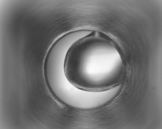 X0000074961230200609152048