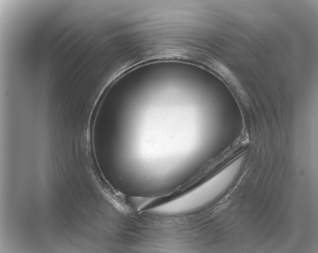 X0000074961234200609152048