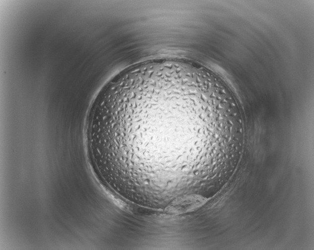 X0000074961235200609152048