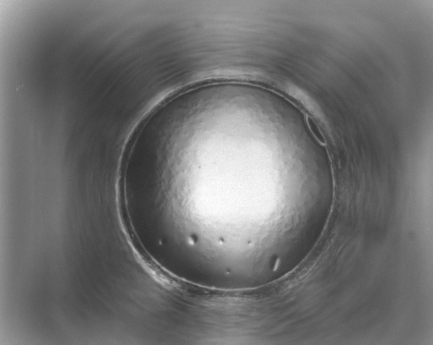 X0000074961237200609152048