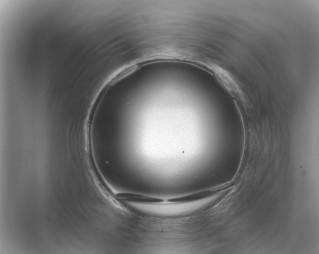 X0000074961238200609152048