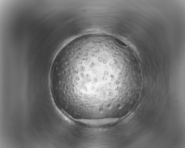 X0000074961239200609152048