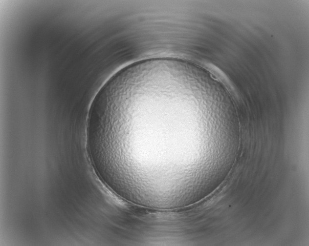 X0000074961244200609152048