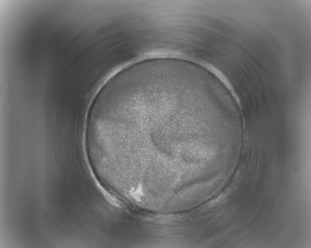 X0000074961245200609152048