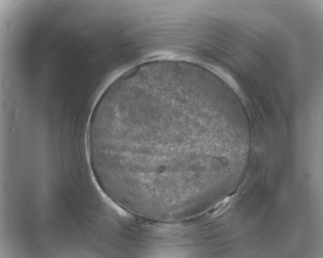 X0000074961247200609152048