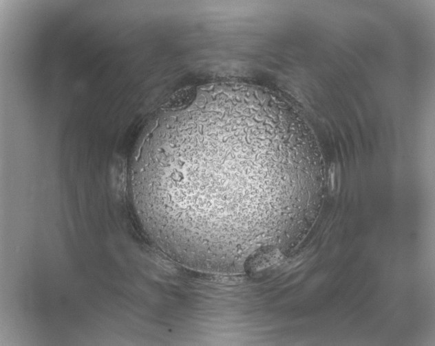 X0000074961251200609152047