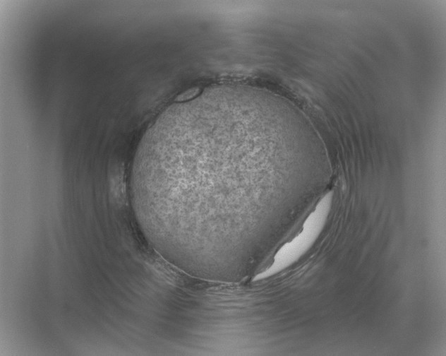 X0000074961252200609152047