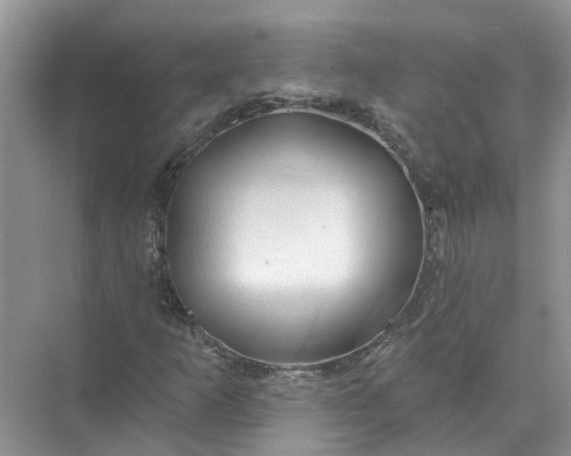 X0000074961253200609152047