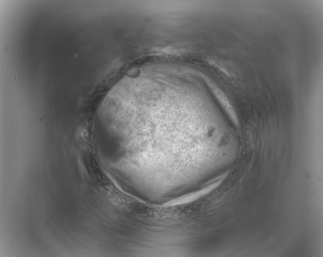 X0000074961254200609152047