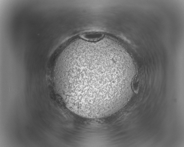 X0000074961255200609152047