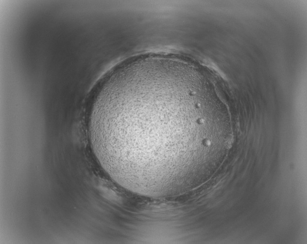 X0000074961256200609152047