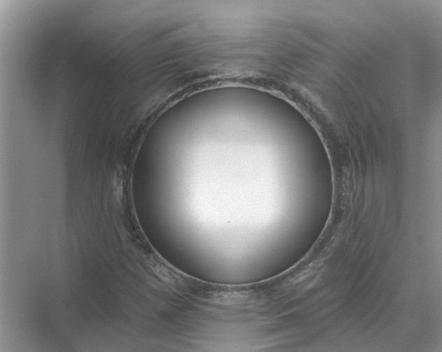 X0000074961257200609152047