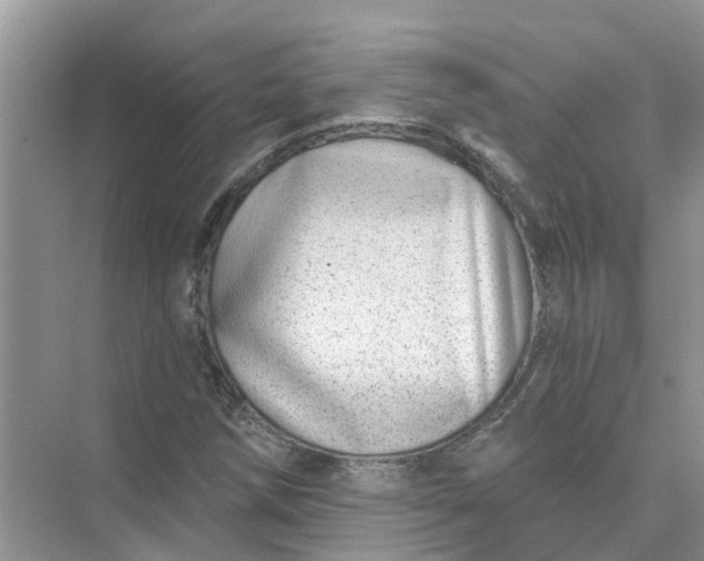 X0000074961258200609152047