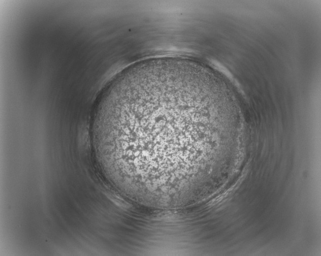 X0000074961259200609152047