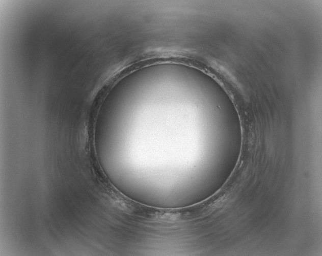 X0000074961261200609152047