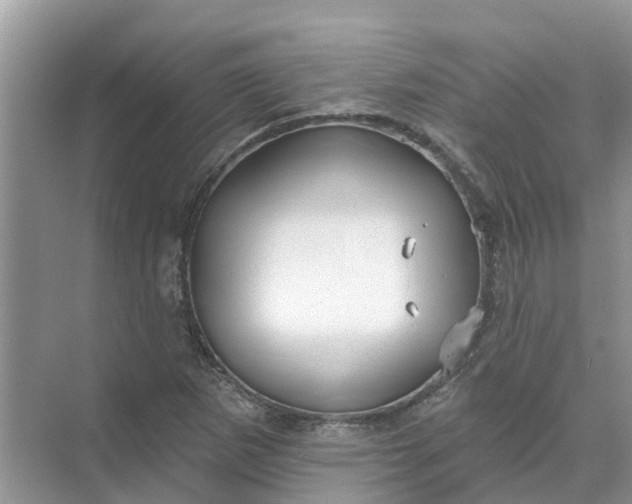 X0000074961265200609152047