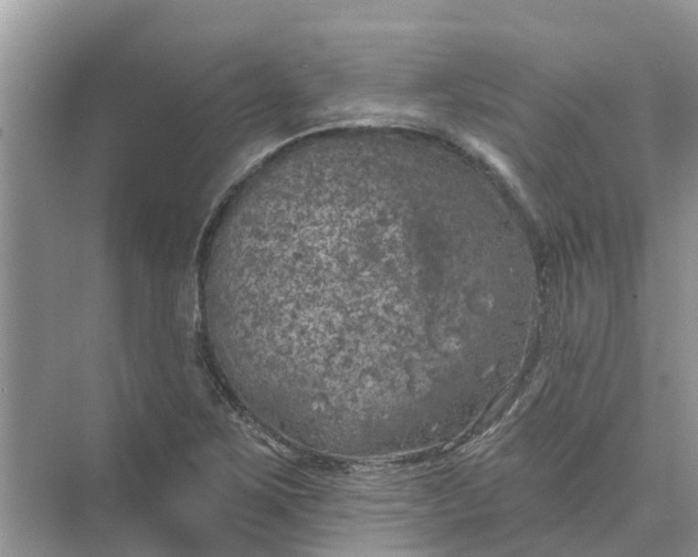 X0000074961267200609152047