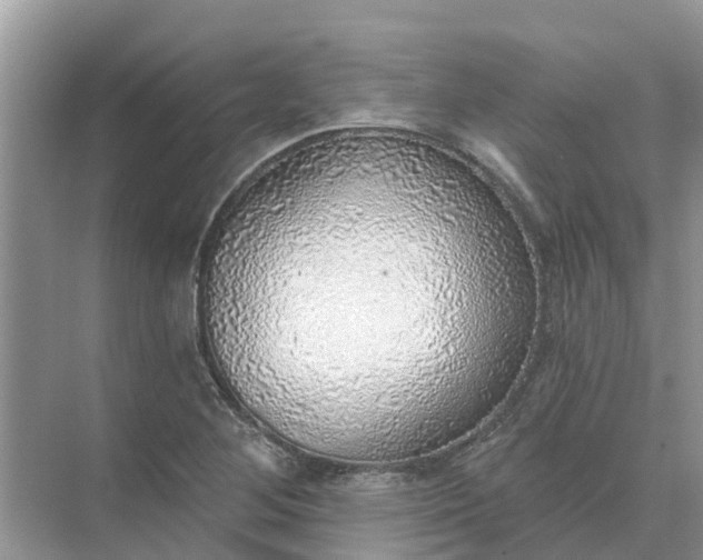 X0000074961268200609152047