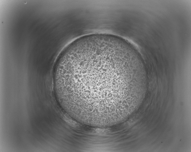 X0000074961271200609152047