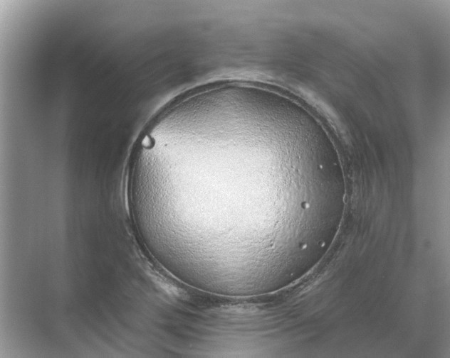 X0000074961272200609152047