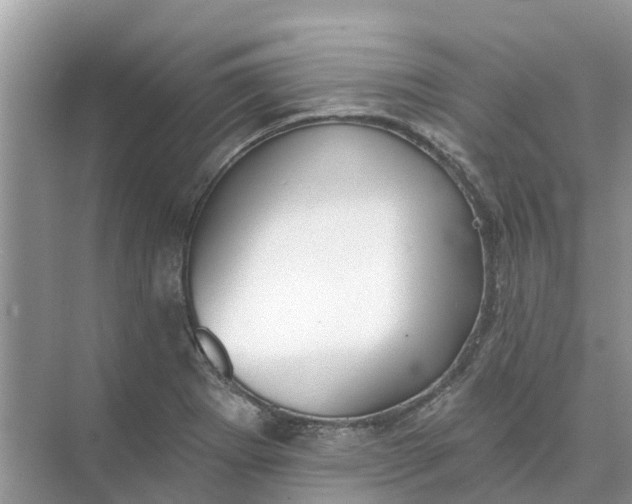 X0000074961273200609152047