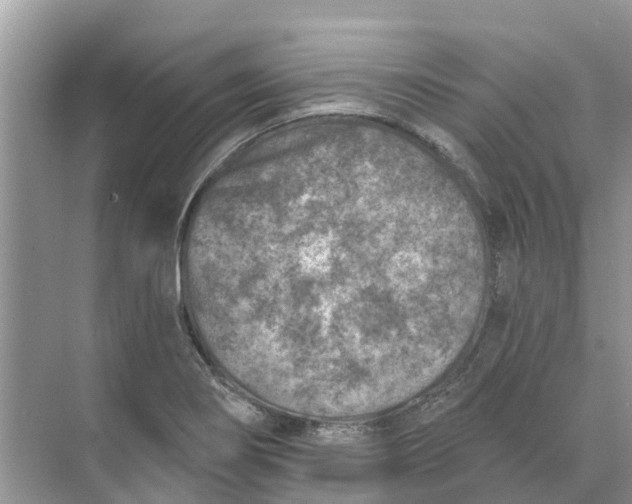 X0000074961274200609152047