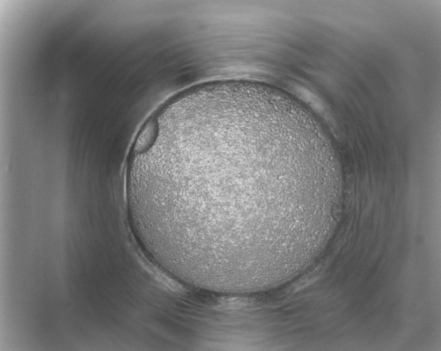 X0000074961275200609152047